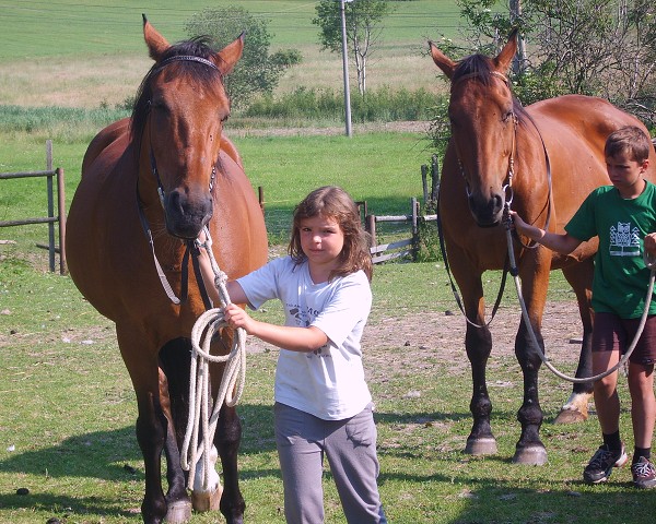 <Digimax S800 / Kenox S800>