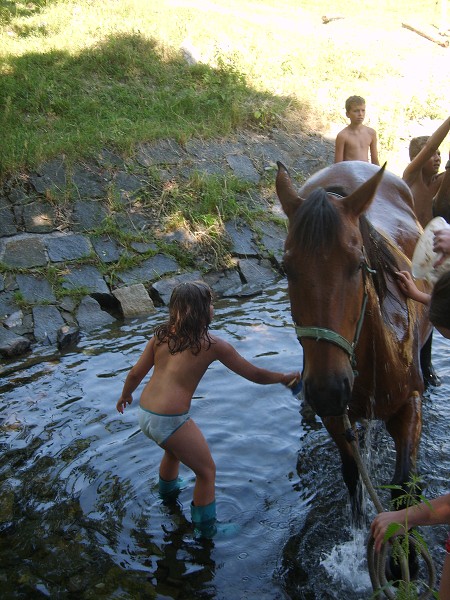 <Digimax S800 / Kenox S800>