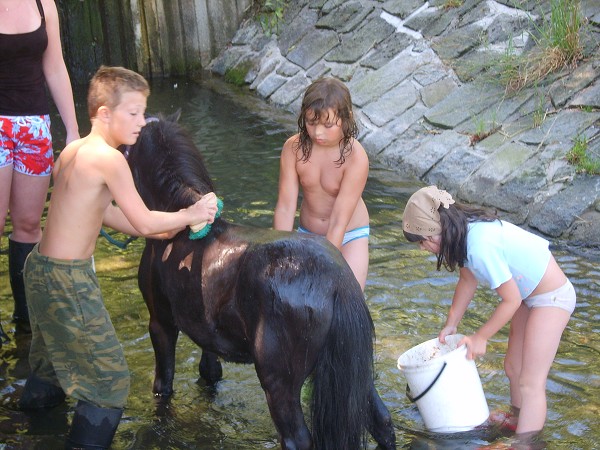 <Digimax S800 / Kenox S800>