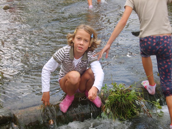 <Digimax S800 / Kenox S800>