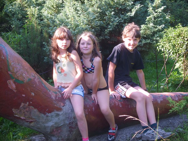 <Digimax S800 / Kenox S800>