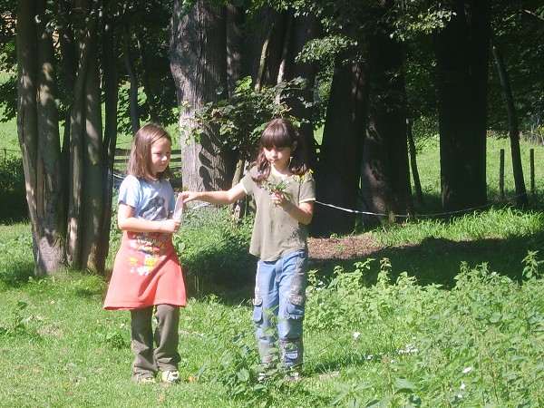 <Digimax S800 / Kenox S800>