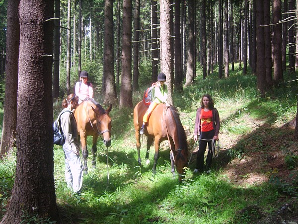 <Digimax S800 / Kenox S800>