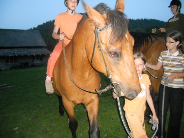 Prázdniny na farmě