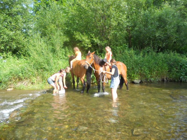 Prázdniny na farmě