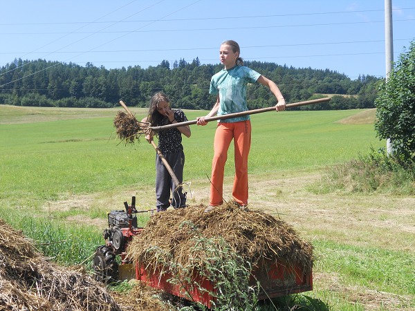 Prázdniny na farmě