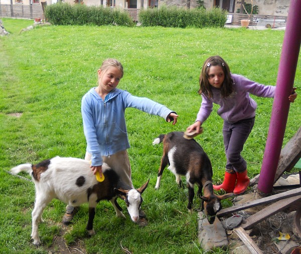 Prázdniny na farmě