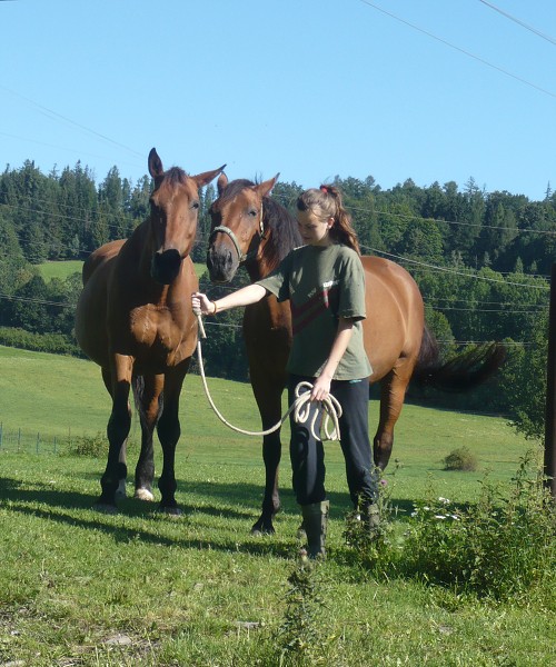 Prázdniny na farmě