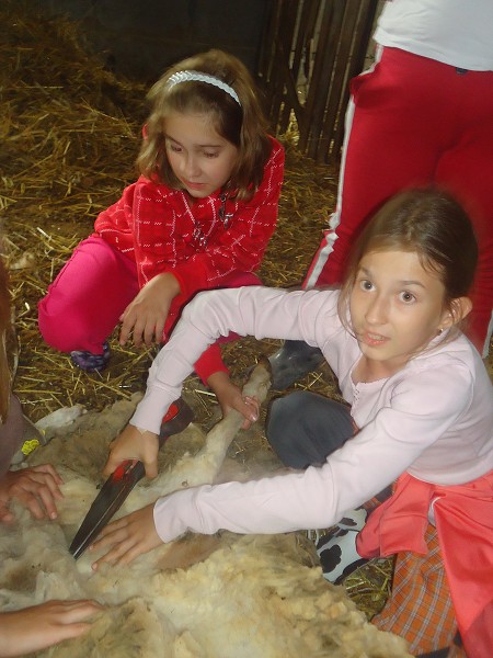 Moje fotky