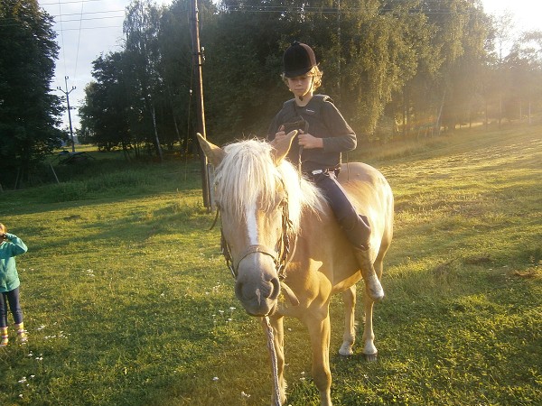 5_turnus