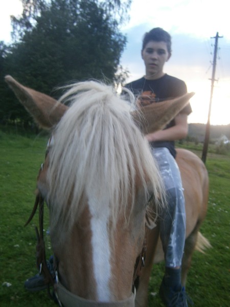 5_turnus
